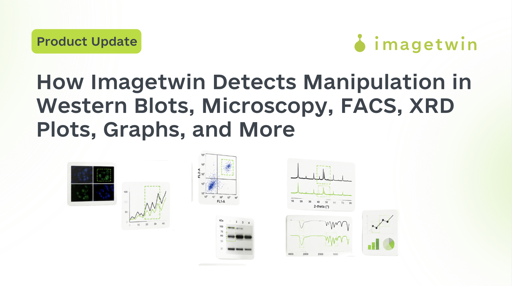 How Imagetwin Detects Manipulation in Western Blots, Microscopy, FACS, XRD Plots, Graphs, and More