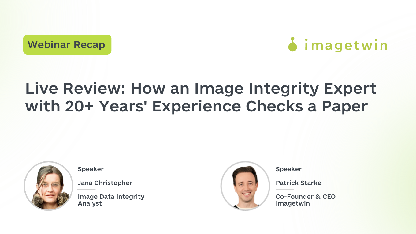 Behind the Screen: How a 20-Year Image Integrity Expert Actually Reviews a Paper