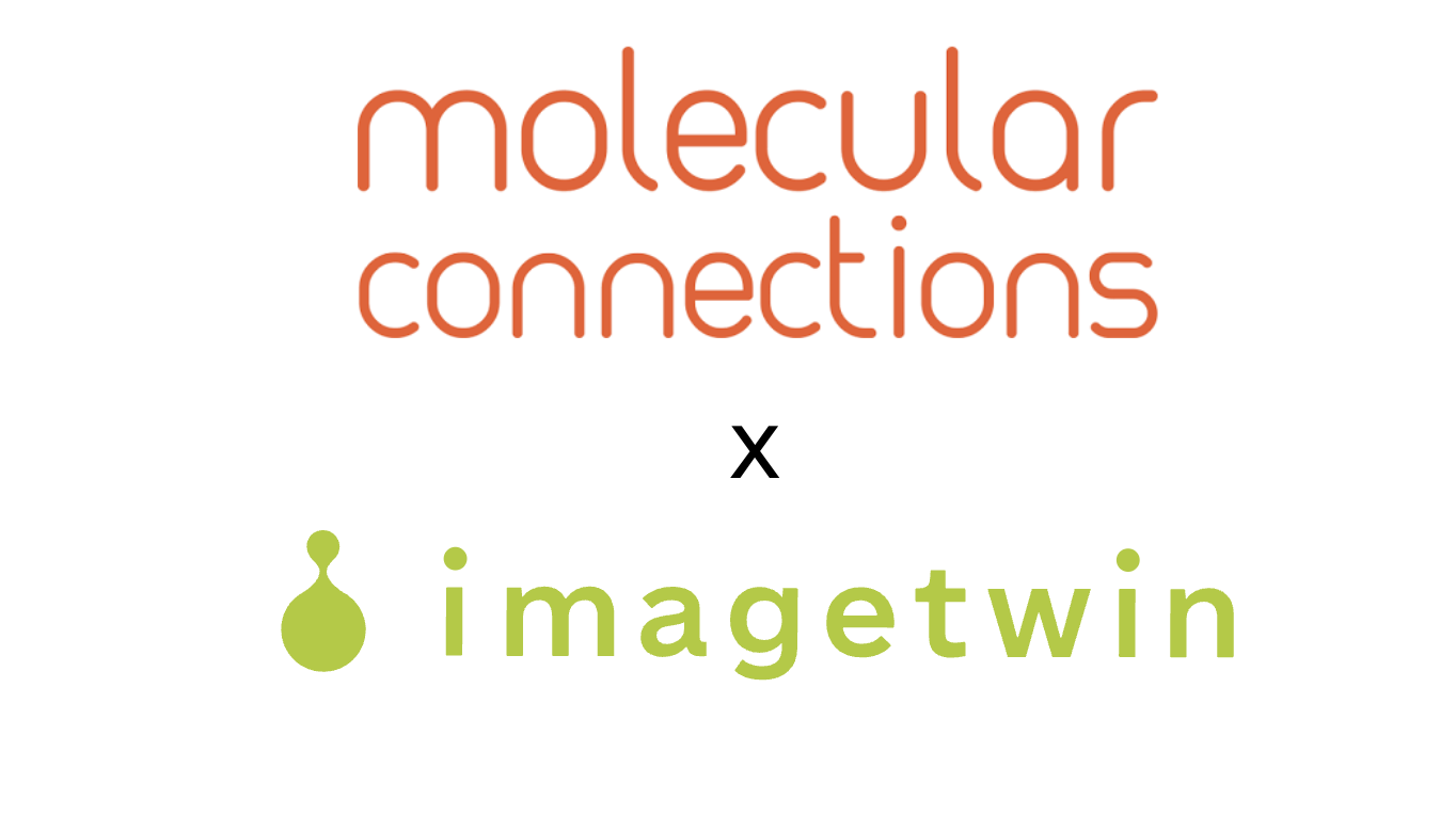 Imagetwin and Molecular Connections Launch Expert Review: Expert-Led Image Integrity Investigations